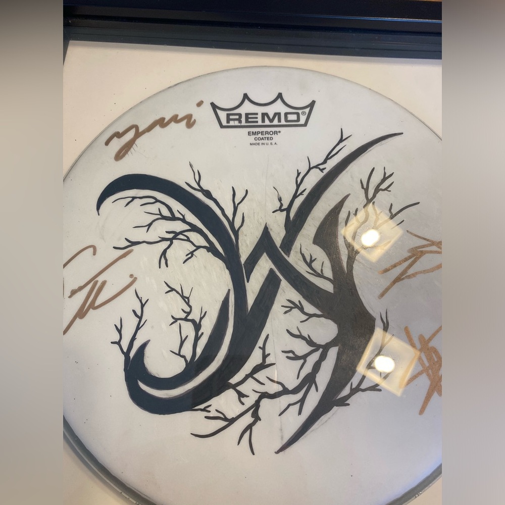 Rare Remo rock band drum skin in frame